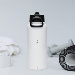 Jorge Stainless steel water bottle with a straw lid